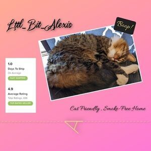 Open to Reasonable offers!